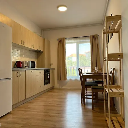 Glam Lipatti Near Iulius Mall And City Center Daire Temeşvar